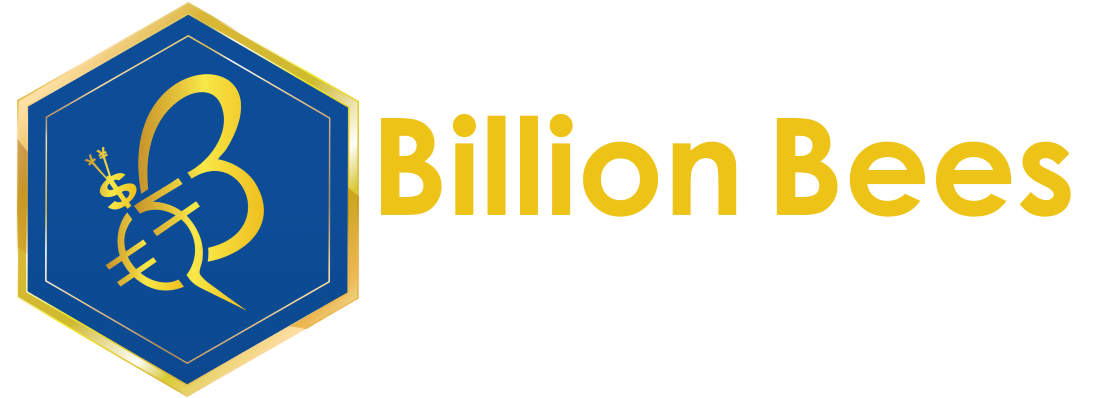 BB FX international LLC logo